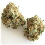 Шишки "White Widow" (Белая вдова) Гидропоника - Бошка VHQ в Твери Шишки "White Widow" (Белая вдова) Гидропоника - Бошка VHQ в Твери