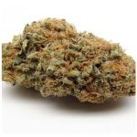 Шишки AK47  (Гидропоника, Бошка) VHQ в Твери